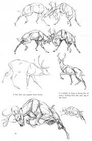 The Art Of Animal Drawing Ken Hultgren Animal Drawings Deer Drawing Deer Sketch