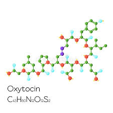 Oxytocin is a cyclic nonapeptide hormone with amino acid sequence cyiqncplg that also acts as a neurotransmitter in the brain; Oxytocin Hormone Structural Chemical Formula On White Background Stock Vector Illustration Of Autism Biomolecule 103737451