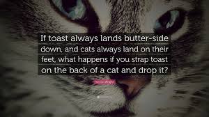 Funny Quotes If Toast Always Lands Butter Side Down And Cats Always Land On Their Feet What Hap Funny Quotes About Life Funny Quotes Life Quotes To Live By