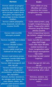 We did not find results for: Perbedaan Hormon Dan Enzim Perbedaan