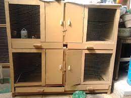 Menjual dan menternak ayam serama. Kandang Ayam Serama Peternakan Dan Budidaya Ayam Serama