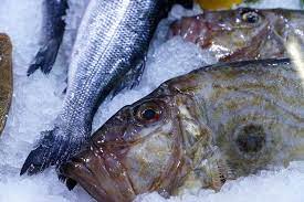 Apa Itu Ikan Dori Bentuknya Aneh Tapi Cocok Dimasak Beragam Hidangan Halaman All Kompas Com