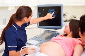 Frame rates > 15 frames per second are considered real time. Ultrasound Scans In Pregnancy Health Navigator Nz