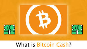 One btc was valued at a fraction of a u.s. What Is Bitcoin Cash The Most Updated Beginners Guide