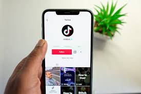 8 Ways To Fix Tiktok Profile Picture Not Changing Or Showing Pletaura