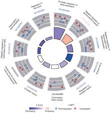 an impaired hepatic clock system effects lipid metabolism in