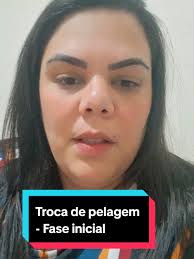 Spitz Alemão Anão Antes Durante E Depois Da Troca De Pelo