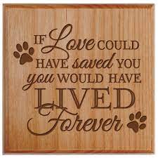 Did anyone catch the reference to the adam lambert okay, so those of you who have read my wicked parody would have recognized the twins had they actually made an appearance, because. Lifesong Milestones If Love Could Have Saved You Engraved Pet Keepsake Cremation Urn Alder Walmart Com Walmart Com