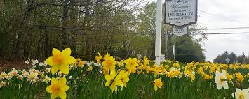 See rental arrears in rockingham county; Visit Nh Must See Blooms This Season