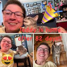 Update reunited!!!:) Hi can people please keep an eye out ormeau park area  for teddy