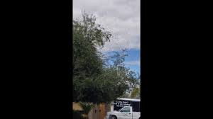 We will get to making your home or company, bee free right away. Cavalry Pest Control Live Bee Removal Bakersfield California Cavalry Pest Control