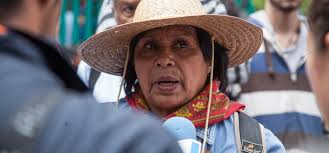 Sólo la solidaridad entre los de abajo nos salvará de estos tiempos  adversos: doña Trini se recupera de Covid-19