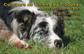 Il est aussi chien de compagnie. Prochains Evenements Concours De Chiens Au Troupeau La Couvertoirade