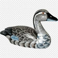 Gambar bebek burung air itik angsa dan angsa fauna paruh. Goose Duck Fauna Figurine Teal Angsa Hewan Itik Fauna Png Pngwing