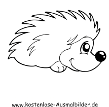 Es gibt sogar comic bücher animations serie spin off spiele und zubehör basierend auf sonic the hedgehog serie. Ausmalbild Igel 3 Zum Ausdrucken