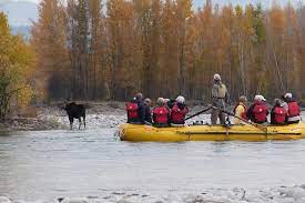 We did not find results for: Half Day Snake River Scenic Float Trip From Jackson 2021 Jackson Hole