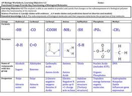 Ap Biology Worksheet Functional Groups Biology Worksheet Functional Group Ap Biology
