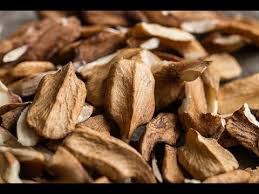 Image result for Buchnera nuttii