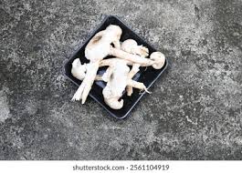 Image result for Orthosiphon schimperi