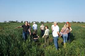 These types of exchanges often offer the best rates to their users. Greifswaldmirecentre On Twitter Paludiculture Field Exchange At Best Practice Examples In Peatlands Of Northeastern Germany Succesful Peer To Peer Learning Of Stakeholders From Ukraine Germany And The Netherlands Facilitated By Bvvg And