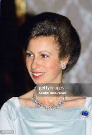 1,429 Princess Anne Library Stock Photos, High-Res Pictures, and Images