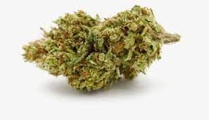 Weed Nugget Png Images Free Transparent Weed Nugget Download Kindpng