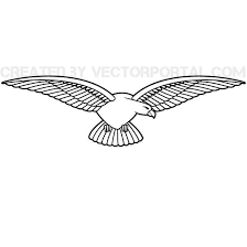 Bird With Wings Spread Drawing Eagle Line Vector Drawing Vector Drawing Drawings Vector