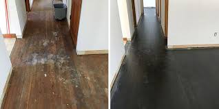 Options For Fixing The Dreaded Pet Stains On Wood Floors Wood Floor Business Magazine Flooring Staining Wood Sanding Wood Floors