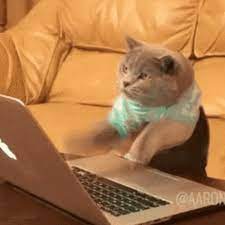 Pin On Cute Baby Animals