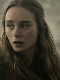 Captain Edmund Dellinger's Reflection