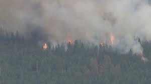 Proudly serving the sicamous area. Sicamous Grant 1 Million For Forest Fire Prevention Watch News Videos Online
