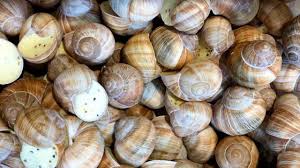 La pappa al pomodoro di mare de «il luogo di aimo e nadia». Le Lumache Di Mare