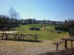 Com cerca de 1200 animais e 350 espécies, o zoo santo inácio é o local ideal para passar um dia inesquecível na natureza! Tunel Dos Leoes Bilde Av Zoo Santo Inacio I Vila Nova De Gaia Tripadvisor