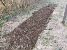 Image result for site:byggahus.se jordfräs