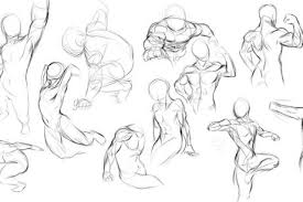 The human form is complex. Drawing Body Anatomy Max Installer