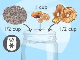How To Make Homemade Bird Food 15 Steps With Pictures Wikihow