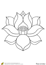 coloriage belle fleur de lotus dessin grands chats adultes zentangle