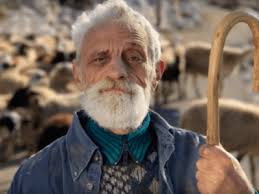 Veroniki Bacharidi-Krikoni · Greek Lingua Author & Chief Editor · Global  Voices