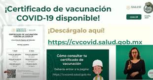 (proposta de regulamento relativo aos certificados interoperáveis de vacinação, testes e. Certificados De Vacunacion Falsos