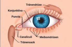 Verklebte Augen Was Verursacht Gelben Schleim Im Auge