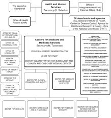 Sage Business Cases The Healthcare Gov Project