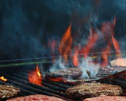 Dyna glo offer a extensive range of grills, smokers to suit most patios and backyards. Dyna Glo Dual Zone Premium Charcoal Grill Dgn576snc D Charcoal Grill World