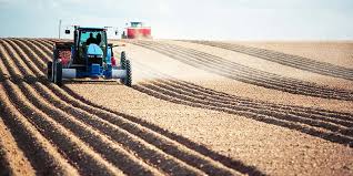 Choose from powerful single frequencies to enhance detection on specific targets*, or select one of apex's simultaneous multifrequency modes to achieve excellent detection on all targets in all soils. Exclusive Keeping A Close Eye On Foreign Material Is Key Potato Business