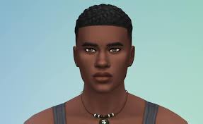 Sims 4 gameplay hours and experiences shared