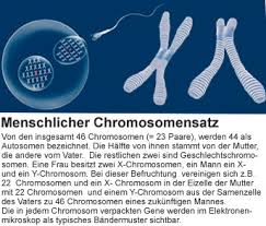 Erbkrankheiten