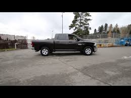 Image result for Stout Brown 2017 Dodge