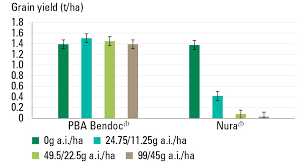 Rotational Utility Of Pulses Improved With Herbicide Tolerance Traits Groundcover
