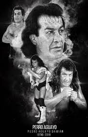 El Templo De La Lucha Libre