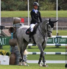 Spécialiste du matériel d'équitation : Penelope Leprevost De Retour Dans L Equipe De France Vl Media