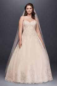 Metallic Lace Plus Size A Line Wedding Dress David S Bridal Davids Bridal Wedding Dresses Ball Gowns Wedding Wedding Dress Champagne